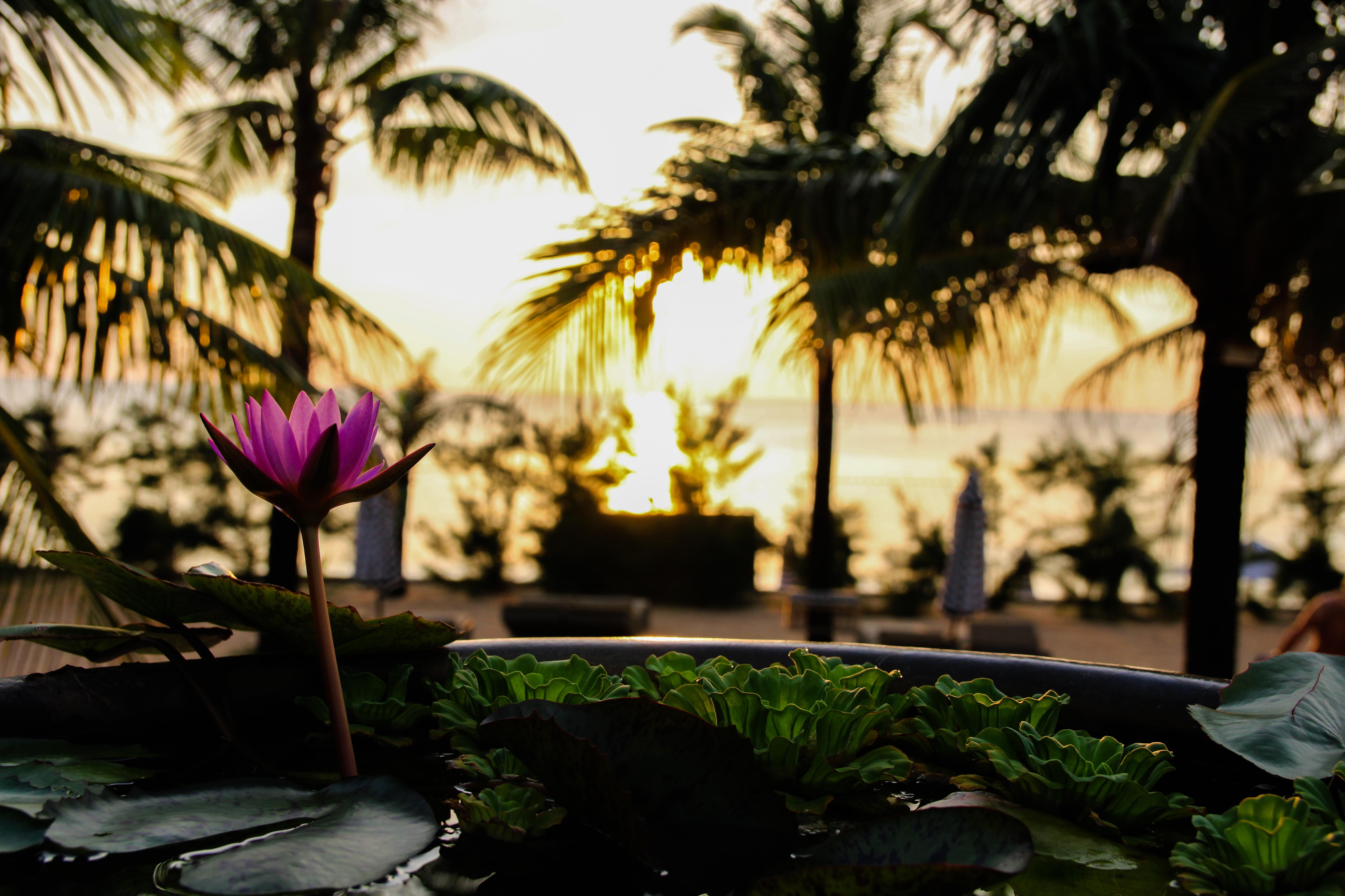 Cassia Cottage Resort And Spa Phu Quoc Extérieur photo