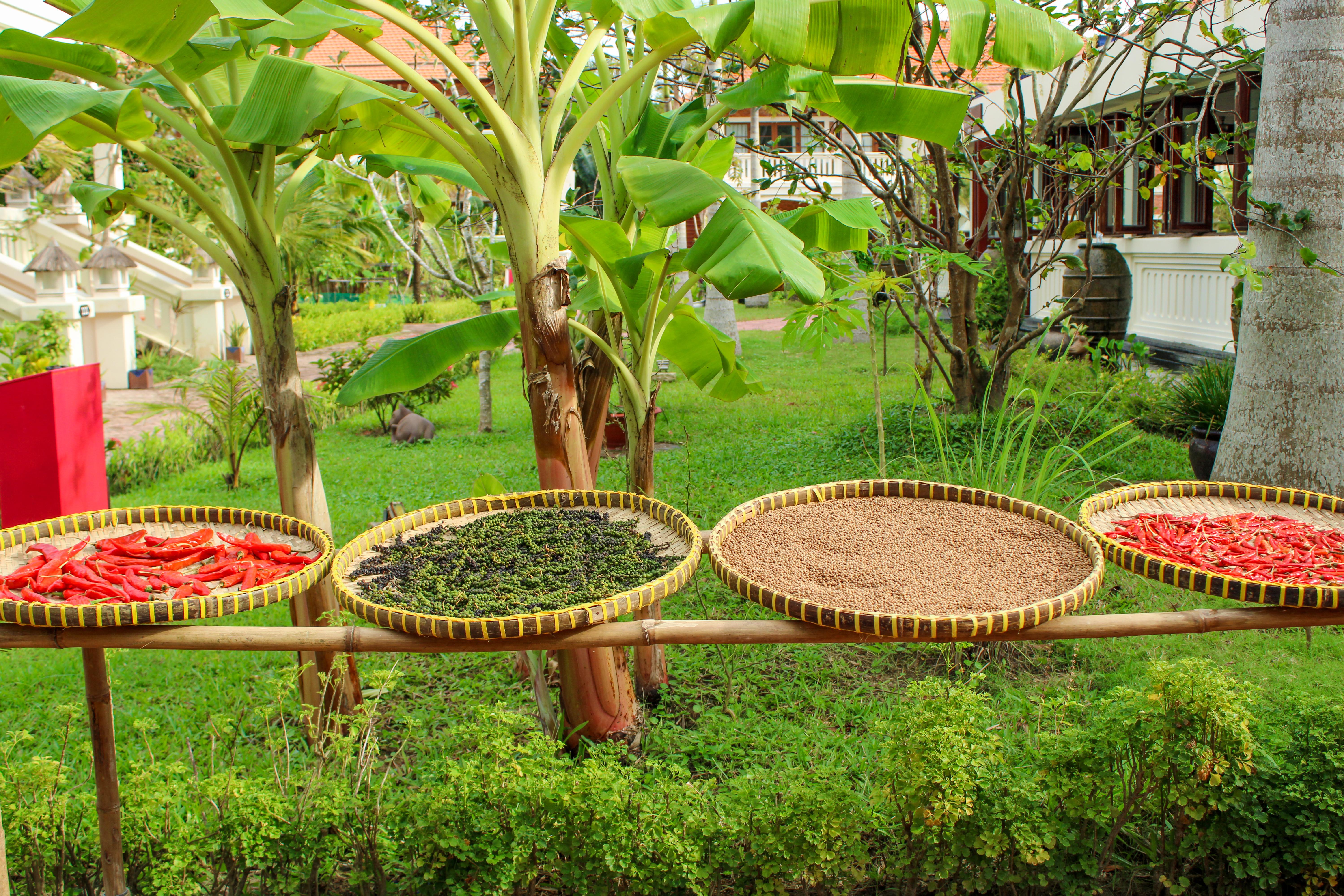 Cassia Cottage Resort And Spa Phu Quoc Extérieur photo